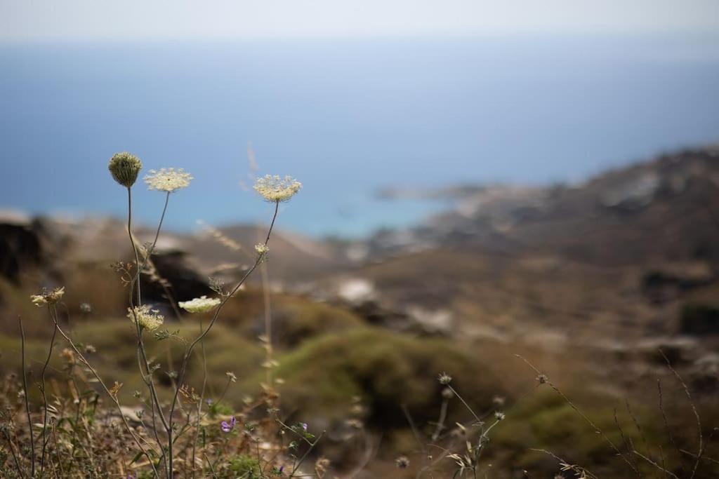 Kea 360 Villas- Dionysos Den Korissia  Bagian luar foto