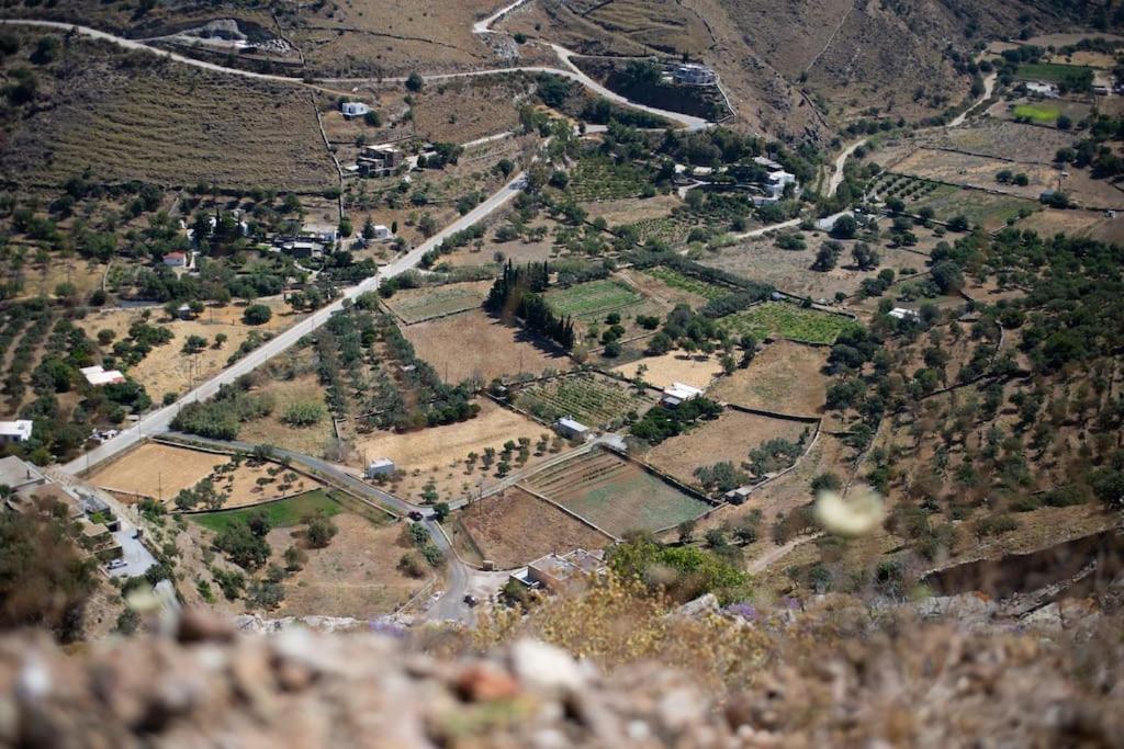 Kea 360 Villas- Dionysos Den Korissia  Bagian luar foto